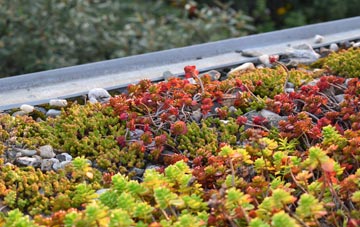 the cost of Trentishoe green roof installation