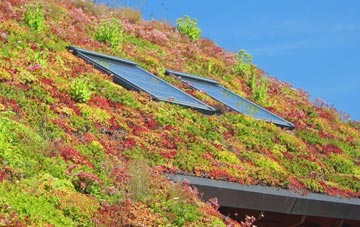 Trentishoe living roof systems