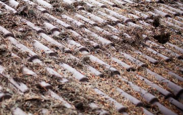 Trentishoe roof cleaning companies