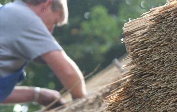 professional Trentishoe thatchers