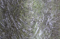 Trentishoe fibreglass roof work